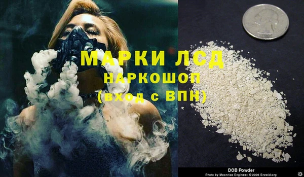 прущие грибы Няндома