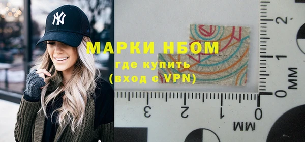 прущие грибы Няндома